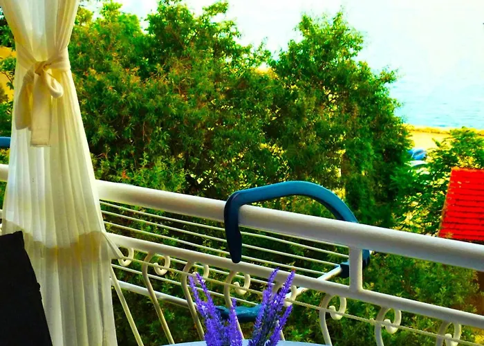 Anita Apartamento *