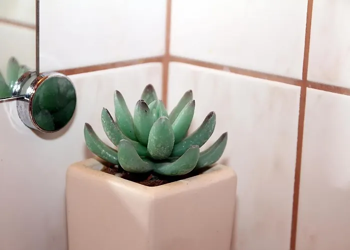 Anita Apartamento *